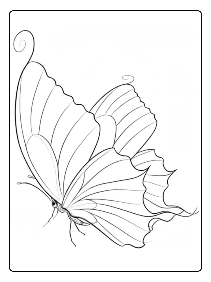 Afrikanisches Tier Malvorlage schmetterling ausmalbild Ergänzung