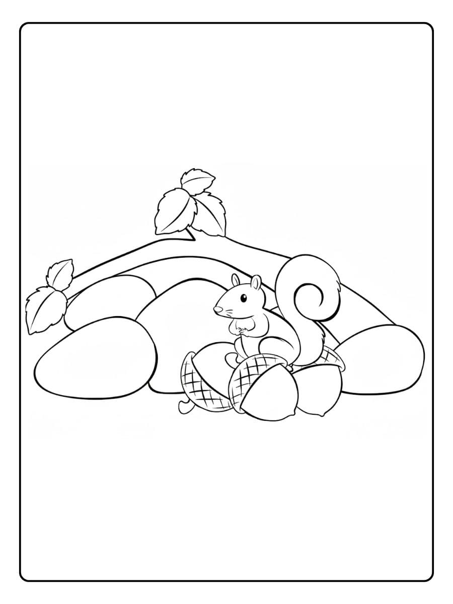 Ausmalbild Tiere im Wald Eichhörnchen mit Eicheln