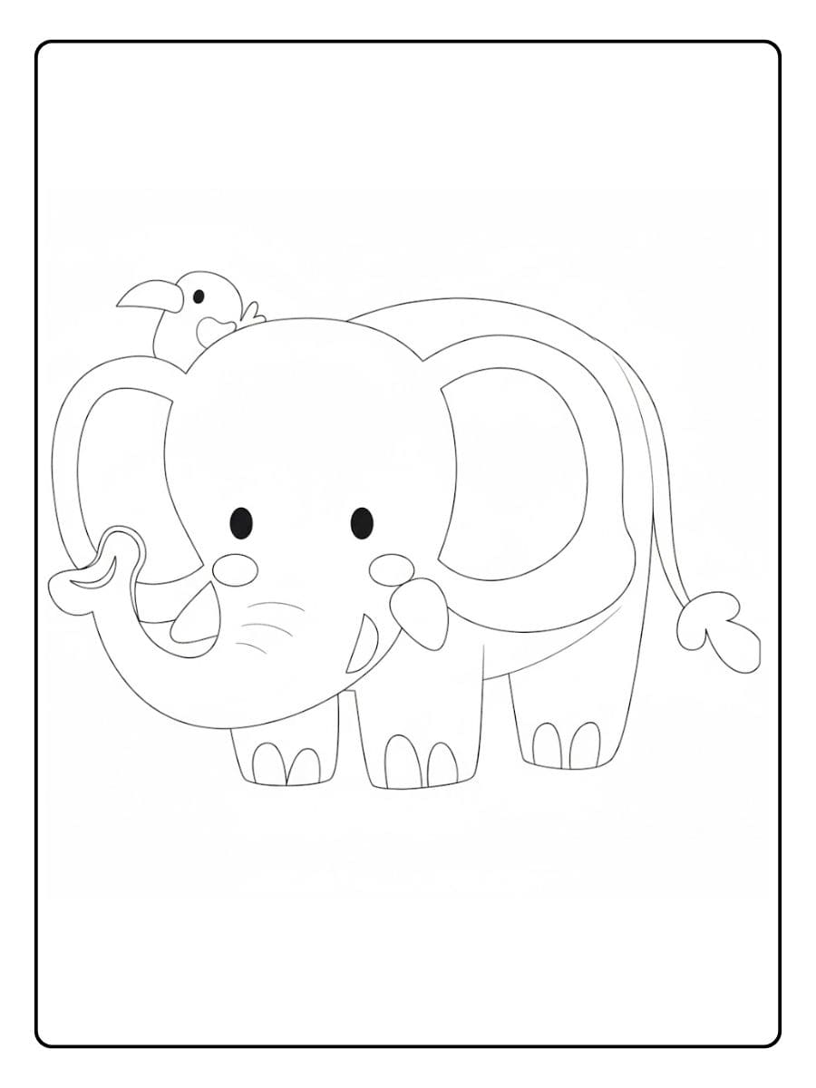 Ausmalbilder Tiere Zoo Bunter Papagei Skizze