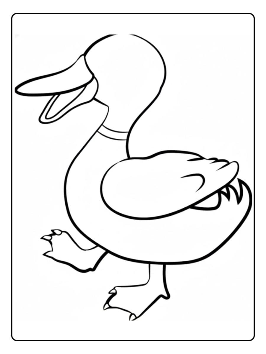 Einfache Enten Malvorlage ausmalbilder tiere für 10 jährige mit dicken Linien