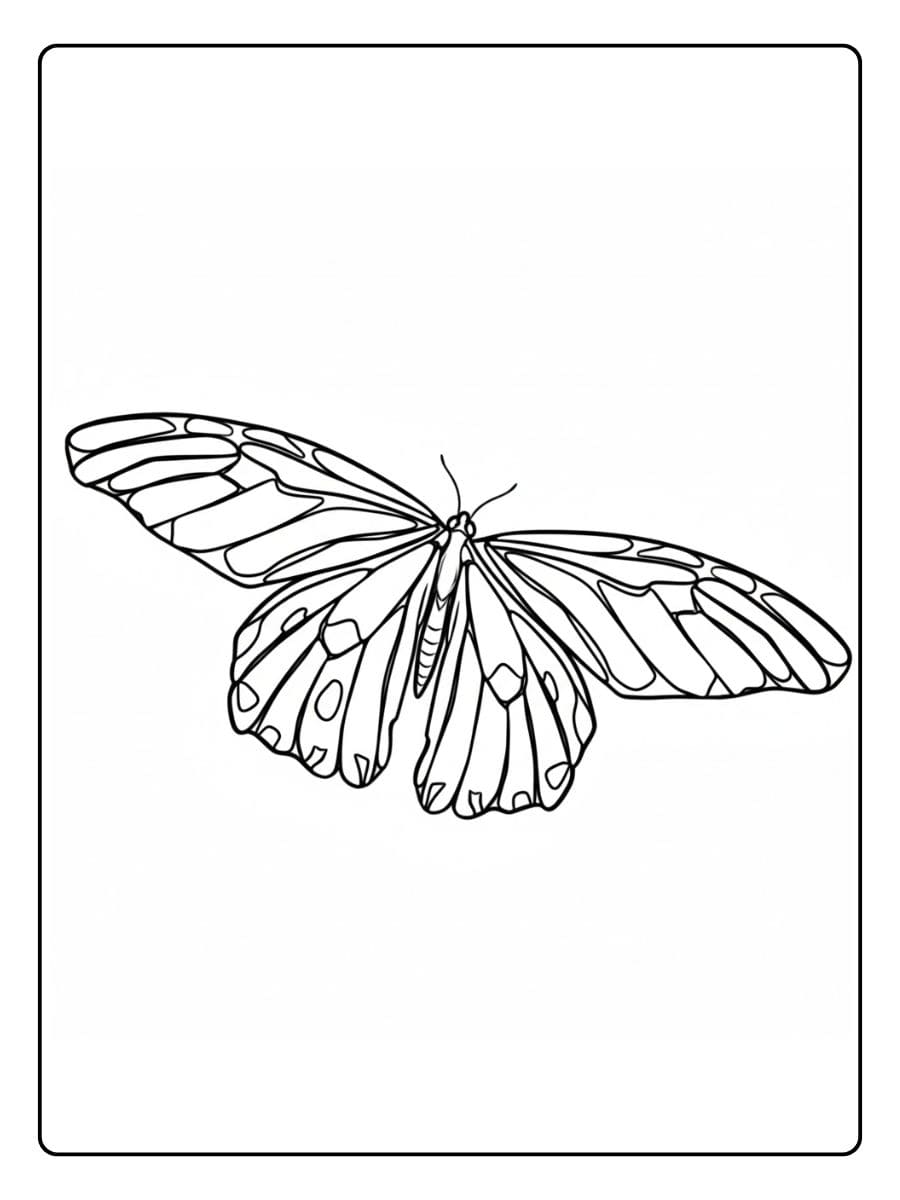 Einfacher Schmetterling zum Ausmalen schmetterling ausmalbild