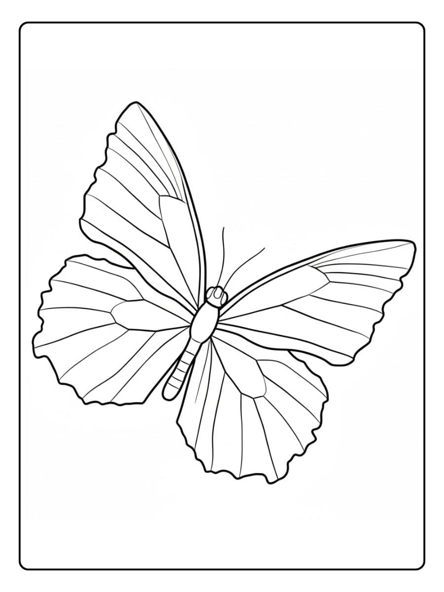 Lila Schmetterling Kontur schmetterling ausmalbild für einfaches Ausmalen