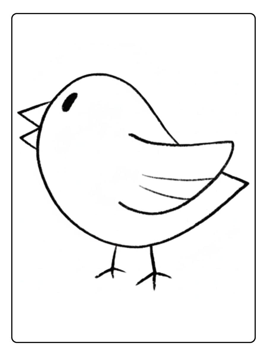 Süßer Vogel zum Ausmalen ausmalbilder tiere für 10 jährige