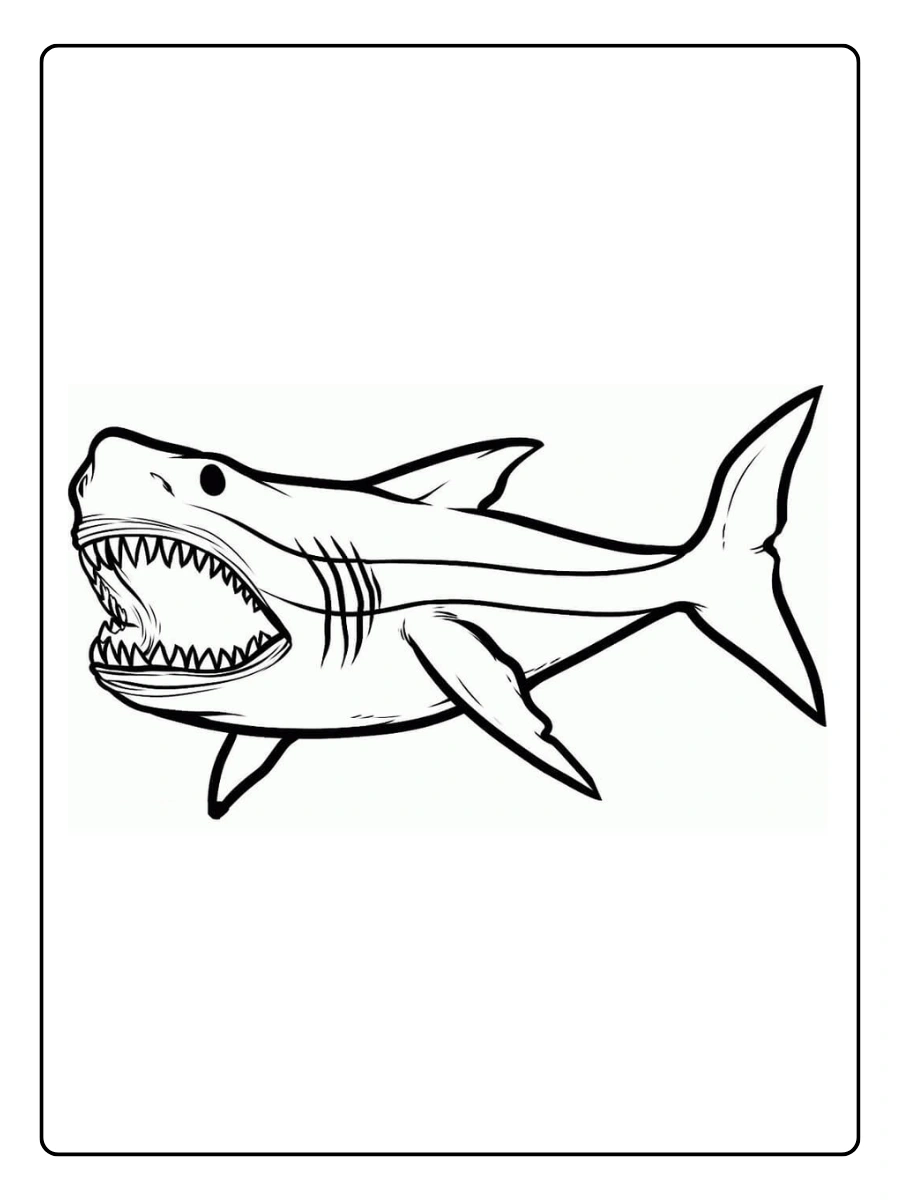 ausmalbild hai (2)