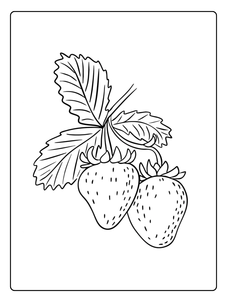 ausmalbilder erdbeeren (6)