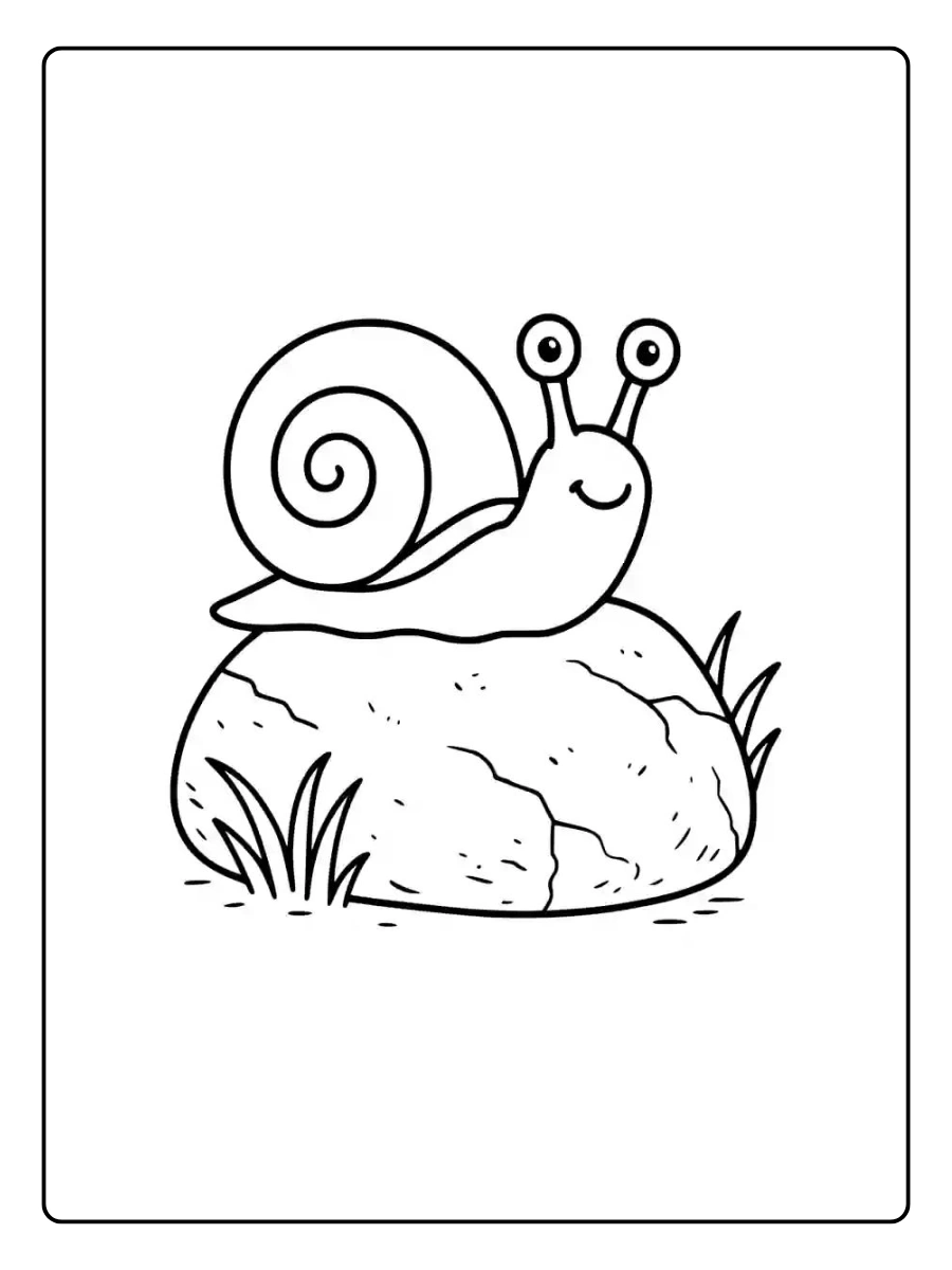 schnecke ausmalbild (14)
