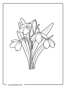ausmalbild schneeglöckchen (2)